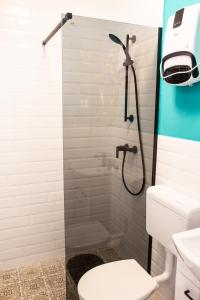 a bathroom with a shower and a toilet at Baba Jagina koliba in Karanac