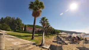 a row of chairs and palm trees on a beach at William's apartments - second cozy studio in Sveti Vlas