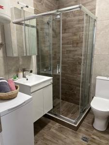 ein Badezimmer mit Dusche, Toilette und Waschbecken in der Unterkunft Ammos & Thalassa Apartments in Ofrynio