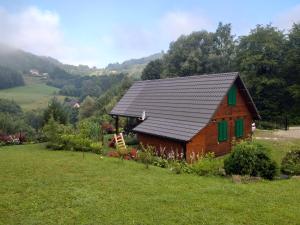 a small wooden cabin in a field of grass at Domek za lasem in Laskowa