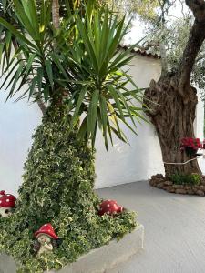 Κήπος έξω από το Valia House Thassos
