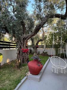 Κήπος έξω από το Valia House Thassos