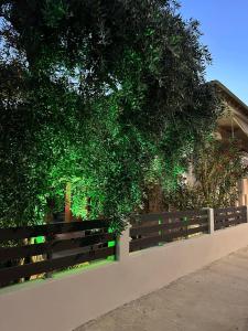 Κήπος έξω από το Valia House Thassos