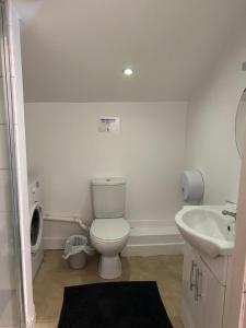 a bathroom with a toilet and a sink at Sarsfields Communities in Dolphinʼs Barn