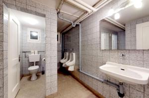 a bathroom with a sink and a toilet and a mirror at Gadmen Alpenrose, Switzerland in Gadmen +27 photos