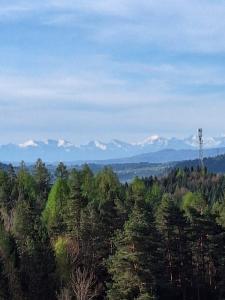 Gallery image of Urokliwy drewniany dom z widokiem na Tatry in Tokarnia