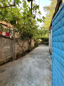 an alley with a blue gate and a fence at Private house surrounded by greenery in Fier