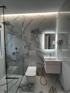 a bathroom with a toilet and a sink and a shower at Villa Niku Berat in Berat