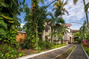 a house with palm trees and a street at Gran Karmel Hotel in Santa Cruz Muluá