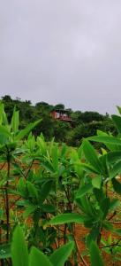 Φυσικό τοπίο κοντά σε αυτό το σαλέ +42 φωτογραφίες