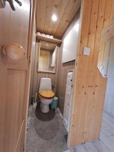 y baño con aseo y asiento de madera. en bieszczadzki holender, en Lipie