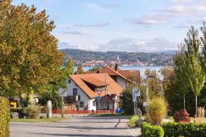 a house on a street with a lake in the background at seenahes chices Apartment in Öhningen in Öhningen