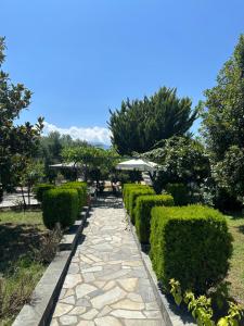 Κήπος έξω από το TANIA appartments