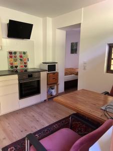 A kitchen or kitchenette at Piburg Seebichlhof