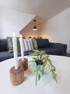 Posezení v ubytování Cozy 1 bedroom apartment A