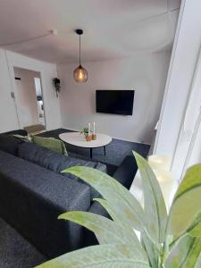 TV a/nebo společenská místnost v ubytování Cozy 1 bedroom apartment A