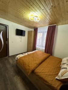 a bedroom with a bed and a tv on the wall at Cabana Matei in Coasta Leşului +6 photos
