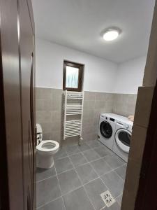 a bathroom with a toilet and a washing machine at Cabana Matei in Coasta Leşului