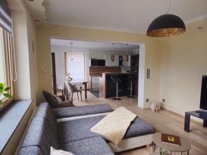 TV a/nebo společenská místnost v ubytování Ferienwohnung Anderl + 6 fotografií
