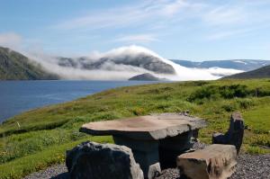 Fotografie z fotogalerie ubytování Neddies Harbour Inn v destinaci Norris Point