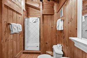 a bathroom with a toilet and a shower at Classy Bear Cabin - Summit Views of Ober Mountain, Hot Tub, 3 King Beds, 2 Mi to Downtown in Gatlinburg +40 photos