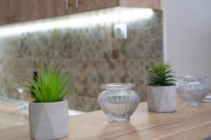 three glass vases sitting on a wooden table with plants at Apartman Pike centar in Trebinje +52 photos