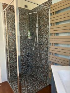 a bathroom with a shower with mosaic tiles at Casa vacanze da Nanda e Danilo in Pineto