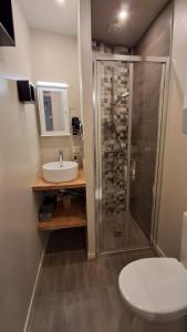 a bathroom with a shower and a sink and a toilet at Joli studio avec cour intérieure in Aix-les-Bains +9 photos