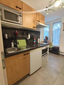 a kitchen with a sink and a microwave at Joli studio avec cour intérieure in Aix-les-Bains