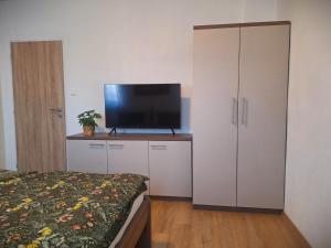 TV a/nebo společenská místnost v ubytování Apartmány Šafran Štrba