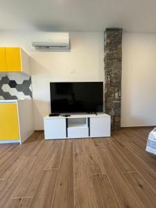 a living room with a large flat screen tv at Apilandia Nanos in Vipava