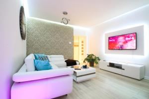 グダニスクにあるApartament Świętojańskaのリビングルーム(ピンクのソファ、テレビ付)