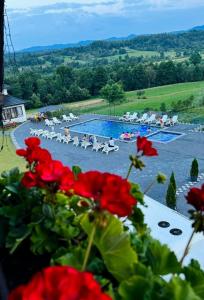 a view of a swimming pool with red flowers at Pensiunea Tincu in Satu Şugatag