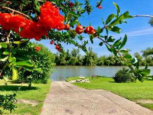 Paisagem natural perto da casa de férias