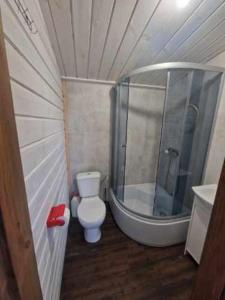 a small bathroom with a toilet and a shower at Apartament HOLENDER na Polu namiotowym RADOŚĆ in Okuninka