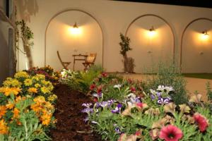 a display of colorful flowers in a garden at קציר ריזורט in Migdal