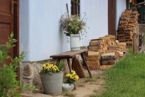 Vonkajšia záhrada v ubytovaní Country house - Slapy/Pazderny