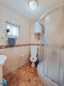a bathroom with a toilet and a shower at Two rooms Hvar spa & apartments in Vrboska