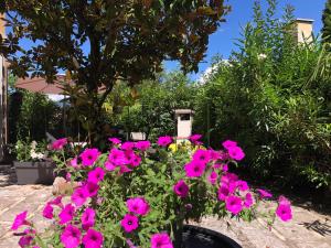 a bunch of pink flowers in a garden at Appartamento villatorretta24 in Riva del Garda