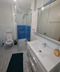 a bathroom with a sink and a shower and a toilet at Hotel Neue Krone in Markt Erlbach