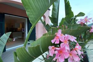 ヴィッラノーヴァ・ダルベンガにあるCasa Liguriaのギャラリーの写真