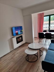Μια τηλεόραση ή/και κέντρο ψυχαγωγίας στο Apartman Rita