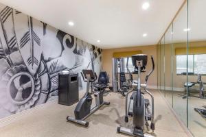 Fitness centrum a/nebo fitness zařízení v ubytování Best Western Plus Burleson Inn & Suites