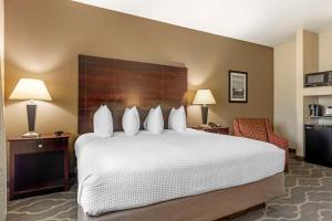 Postel nebo postele na pokoji v ubytování Best Western Plus Burleson Inn & Suites
