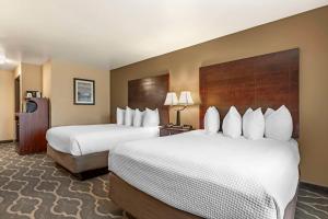 Postel nebo postele na pokoji v ubytování Best Western Plus Burleson Inn & Suites