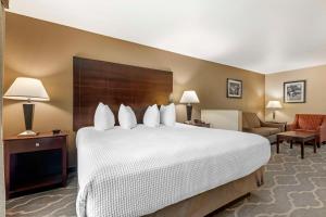 Postel nebo postele na pokoji v ubytování Best Western Plus Burleson Inn & Suites