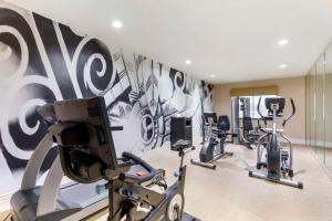 Fitness centrum a/nebo fitness zařízení v ubytování Best Western Plus Burleson Inn & Suites