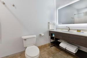 Kopalnica v nastanitvi Best Western Plus Appleton Airport Mall Hotel