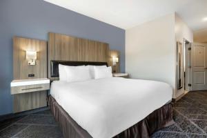 Postelja oz. postelje v sobi nastanitve Best Western Plus Appleton Airport Mall Hotel