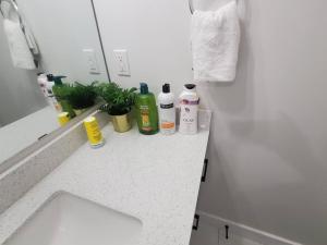 a bathroom counter with cleaning products on it at Charming 2-Bedroom Basement Oasis Sleeps 5,Size-150sqm, Netflix, family friendly in Edmonton +24 photos